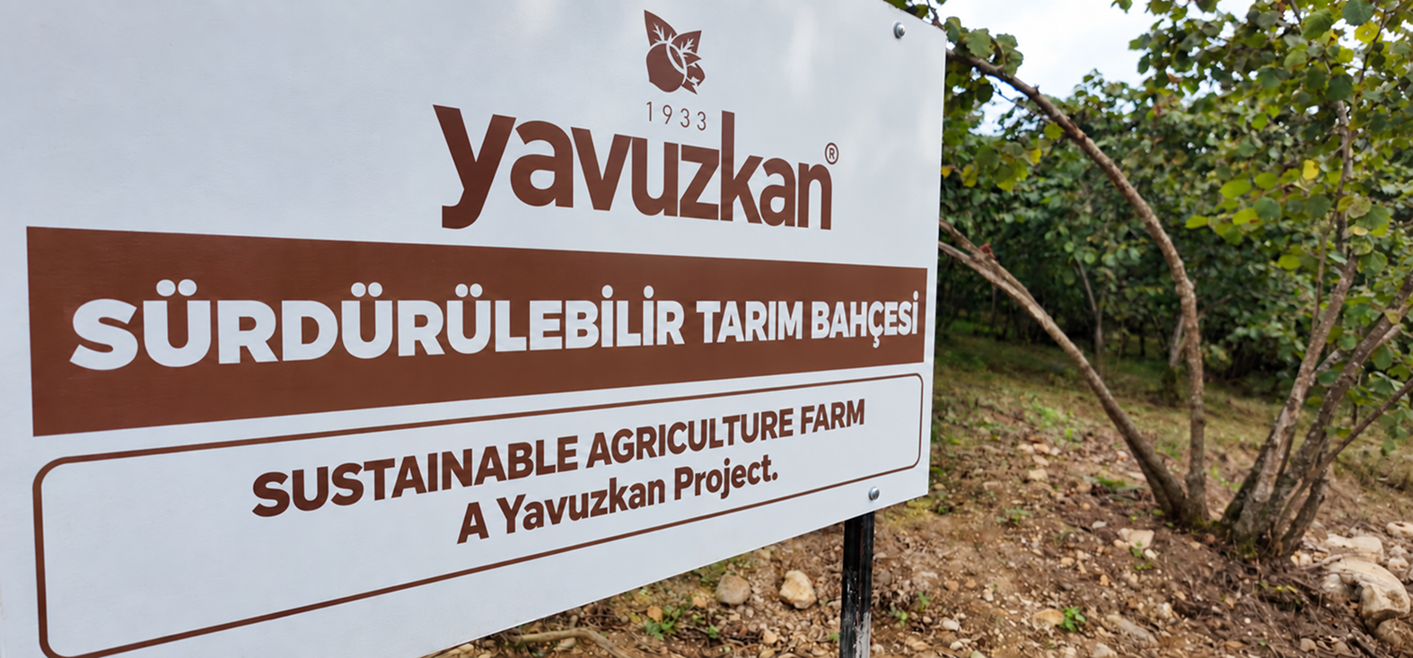 Fındık Bahçelerinde Sürdürülebilir Tarım
